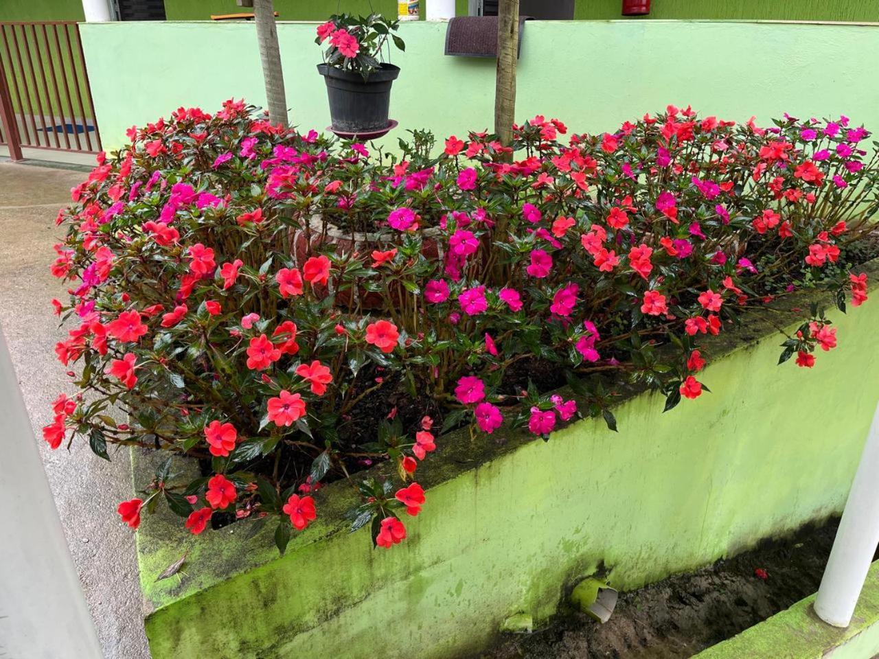 Pesqueiro Restaurante E Pousada Pingo De Ouro Piedade  Buitenkant foto